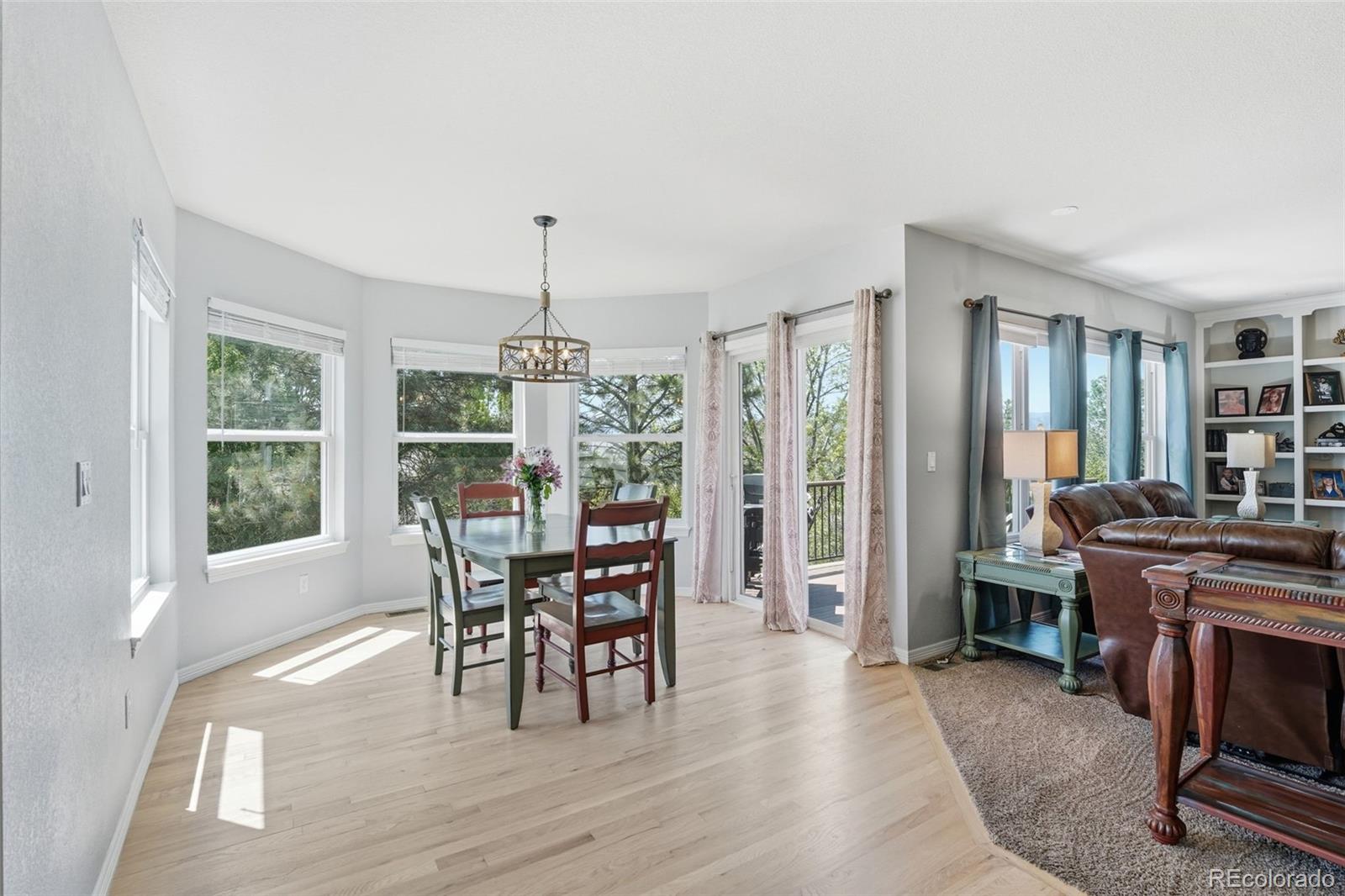 MLS Image #10 for 822  shadowstone drive,highlands ranch, Colorado