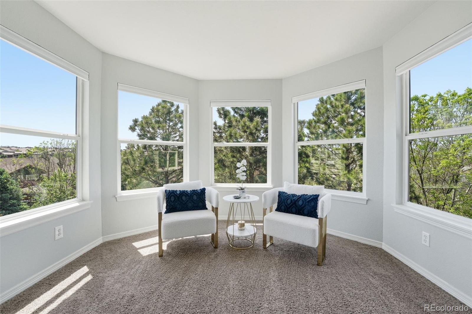 MLS Image #19 for 822  shadowstone drive,highlands ranch, Colorado