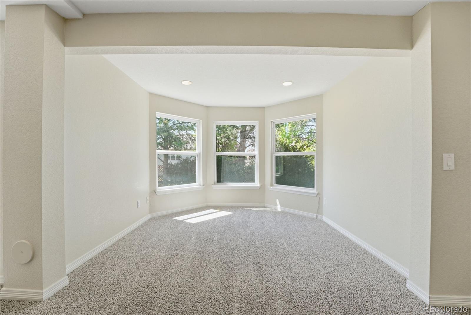 MLS Image #28 for 822  shadowstone drive,highlands ranch, Colorado