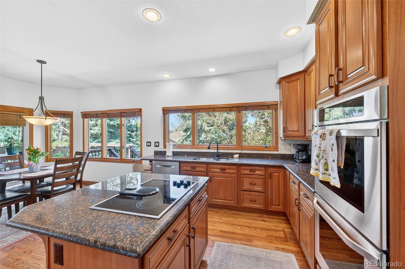 MLS Image #11 for 22  sand cherry ,littleton, Colorado