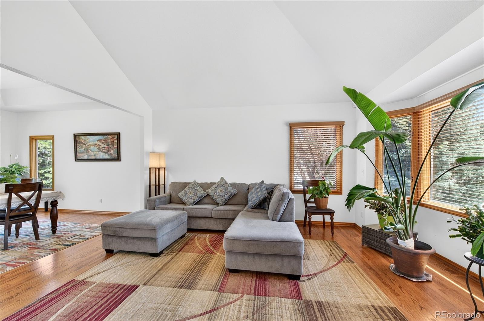MLS Image #6 for 22  sand cherry ,littleton, Colorado
