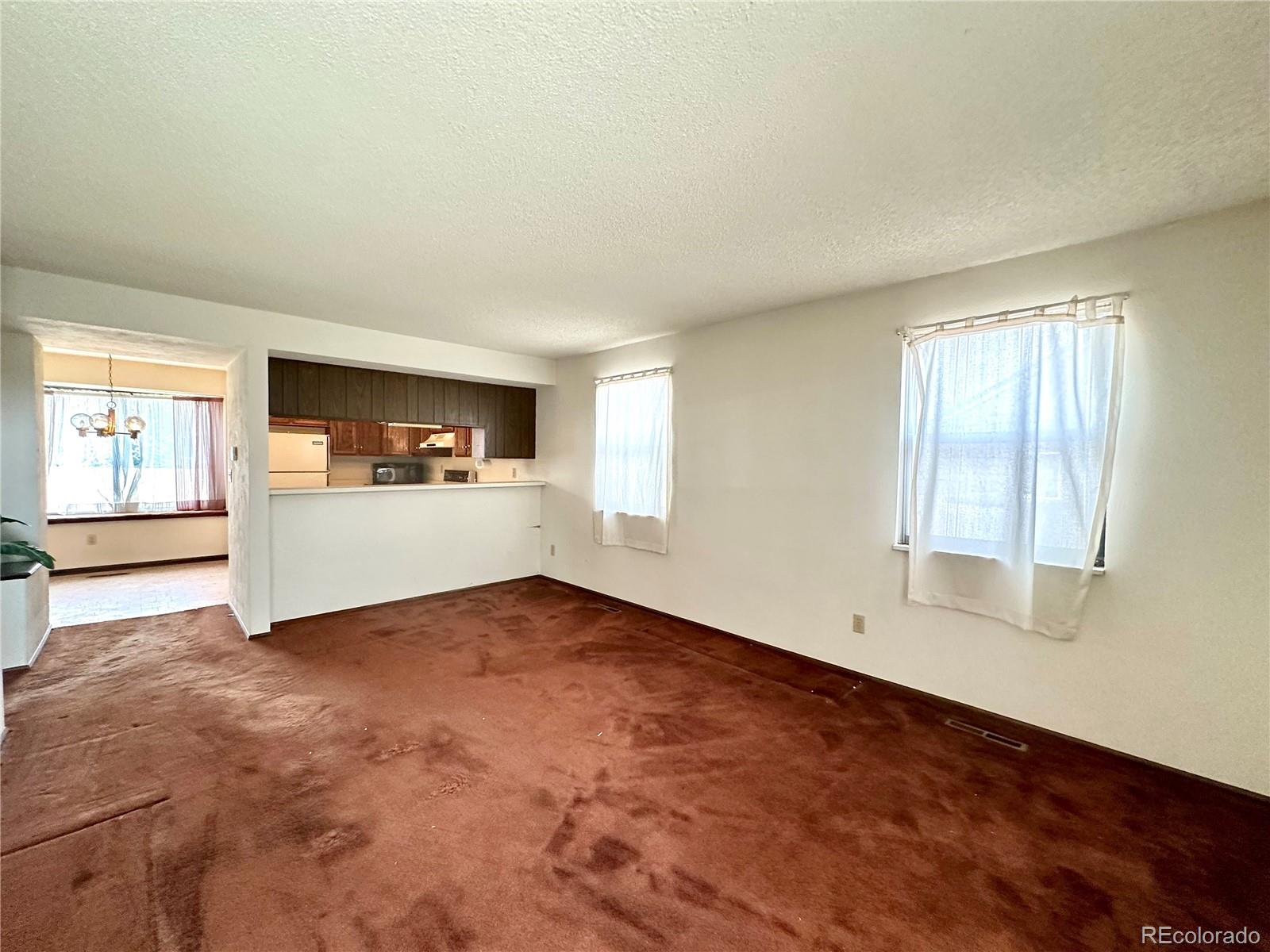 MLS Image #7 for 12124 w vail pass,littleton, Colorado