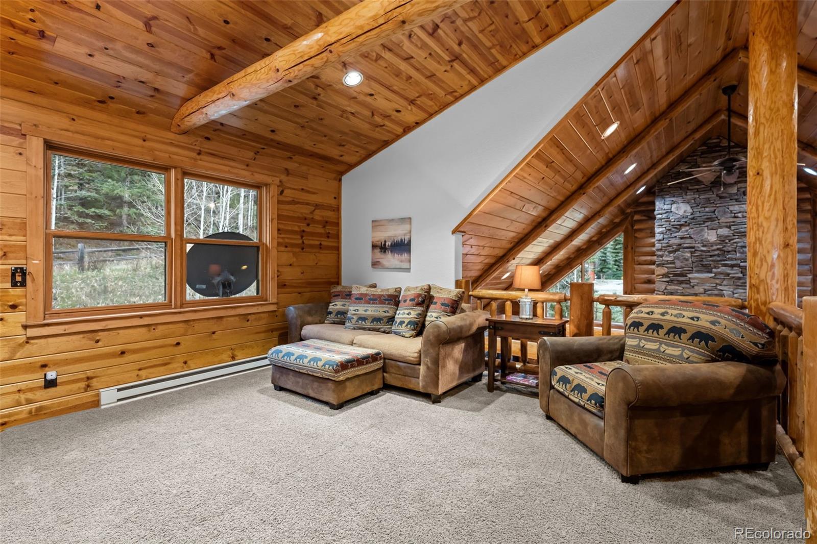 MLS Image #30 for 22  buckskin trail,idaho springs, Colorado