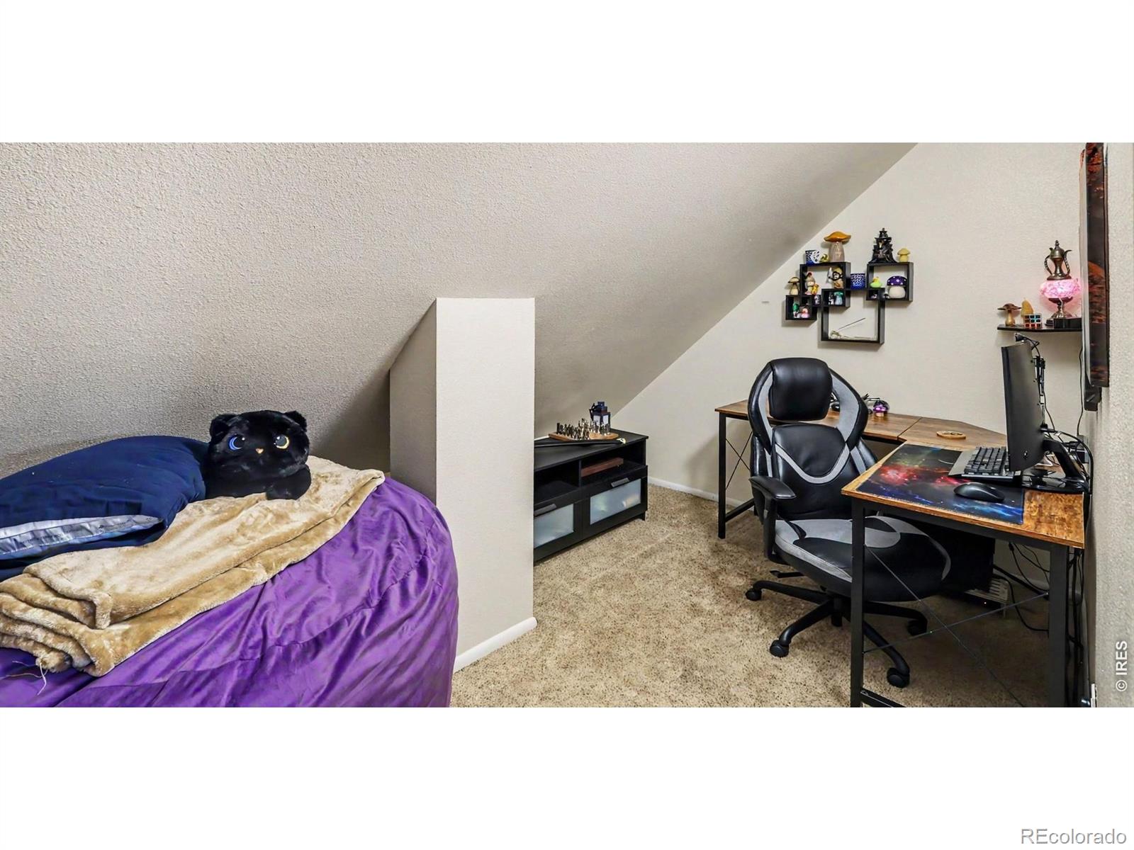 MLS Image #30 for 6301  buckhorn drive,loveland, Colorado