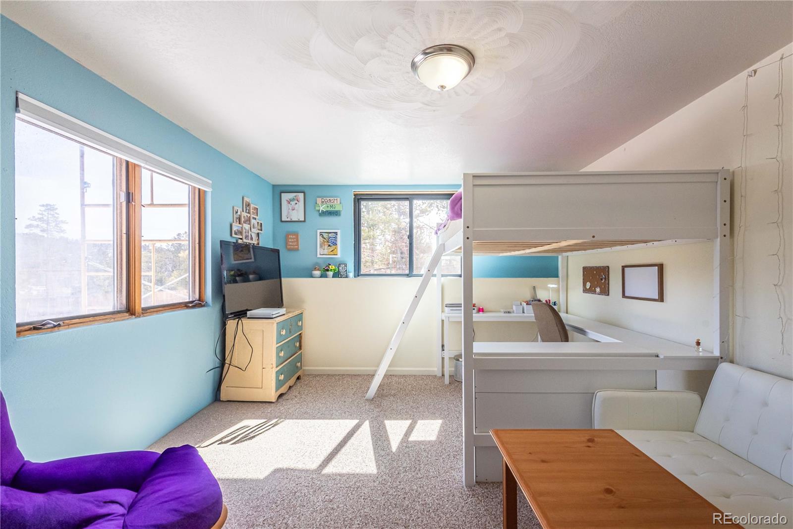 MLS Image #13 for 271  gcr 521 ,tabernash, Colorado