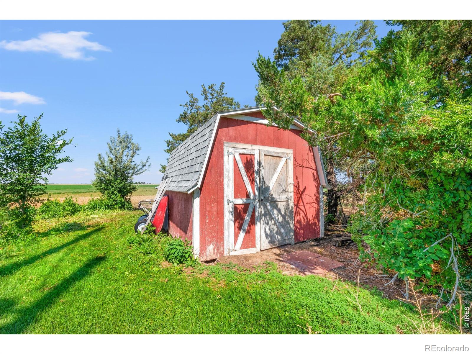 MLS Image #49 for 19487  county road 6 ,wiggins, Colorado