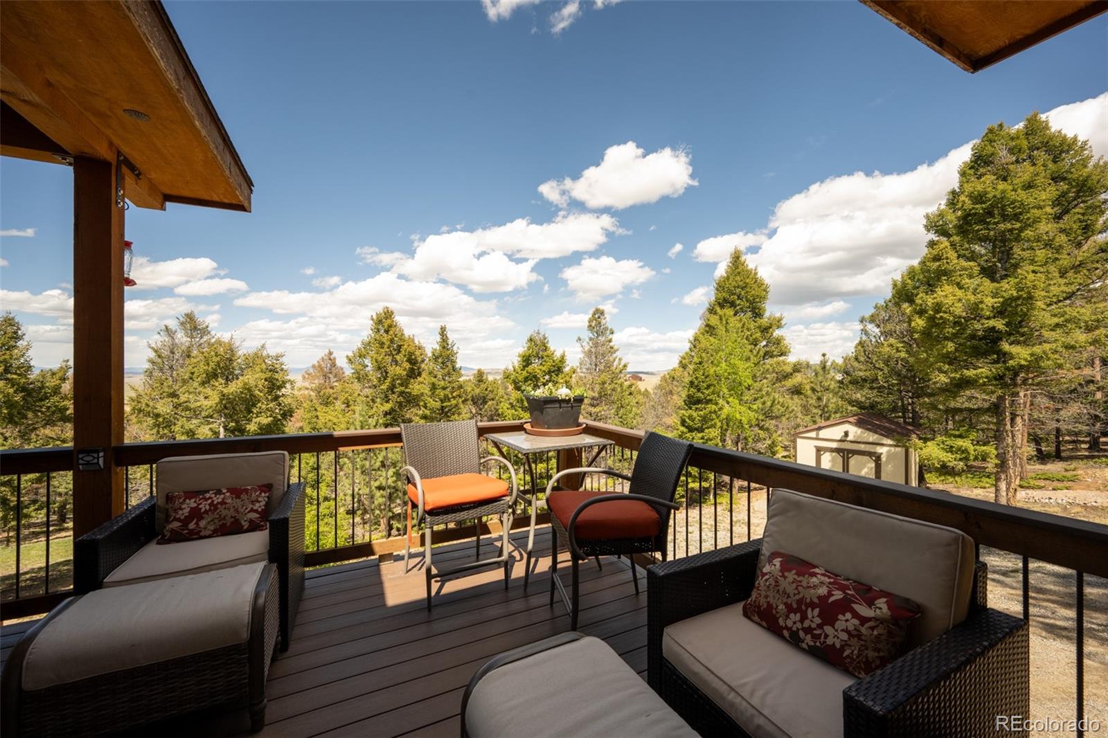 MLS Image #10 for 1540  bolster drive,hartsel, Colorado