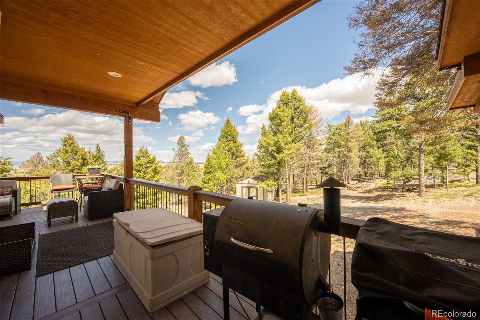 MLS Image #15 for 1540  bolster drive,hartsel, Colorado