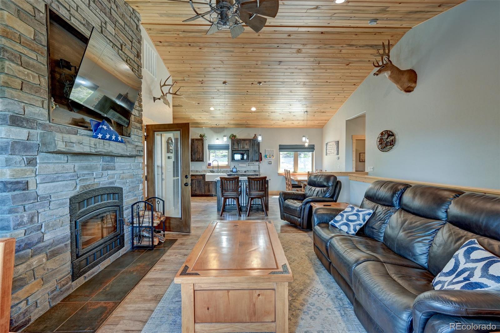 MLS Image #19 for 1540  bolster drive,hartsel, Colorado