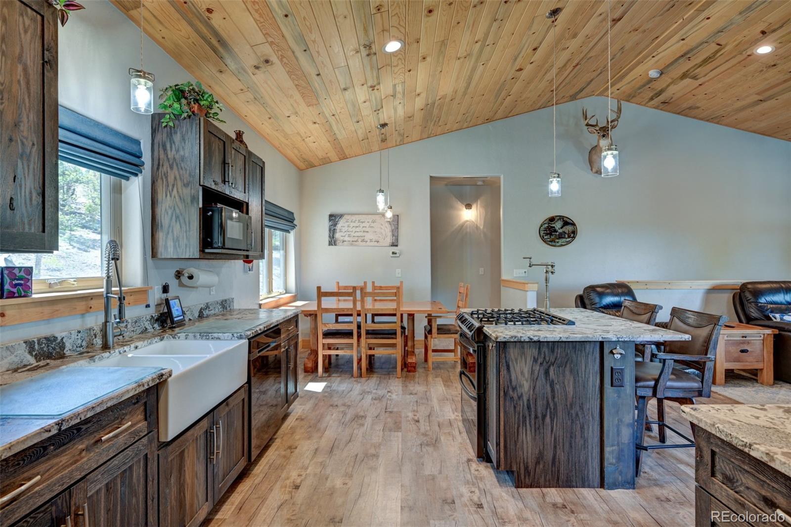 MLS Image #21 for 1540  bolster drive,hartsel, Colorado