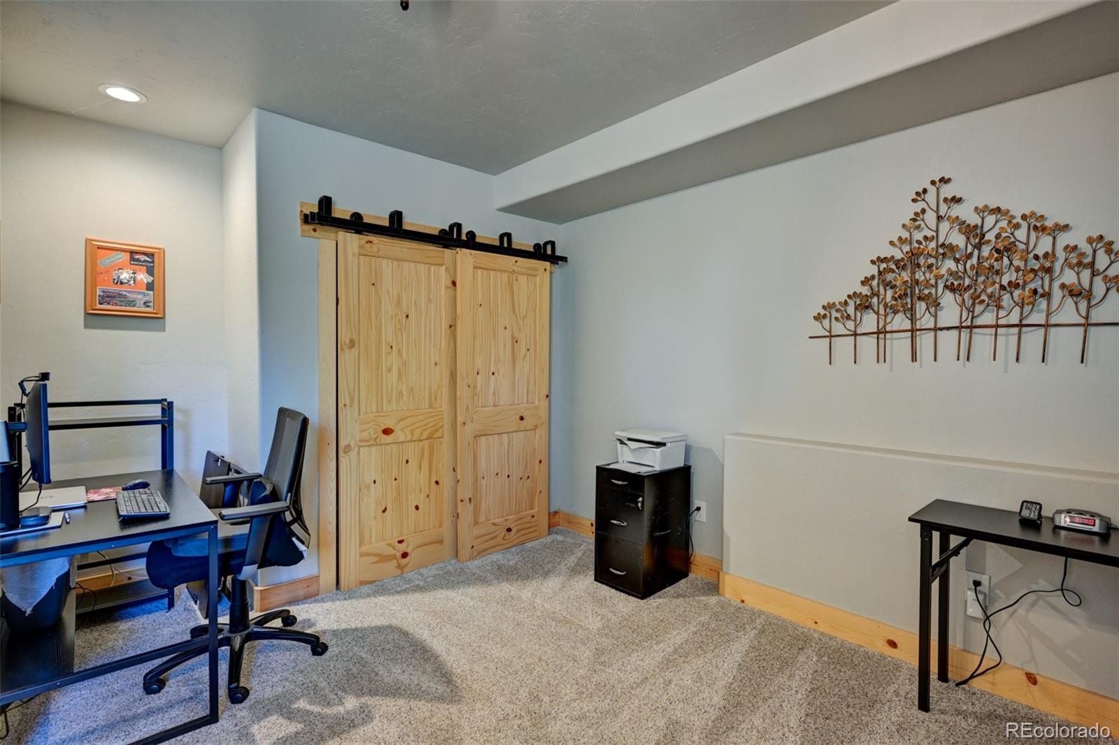 MLS Image #42 for 1540  bolster drive,hartsel, Colorado