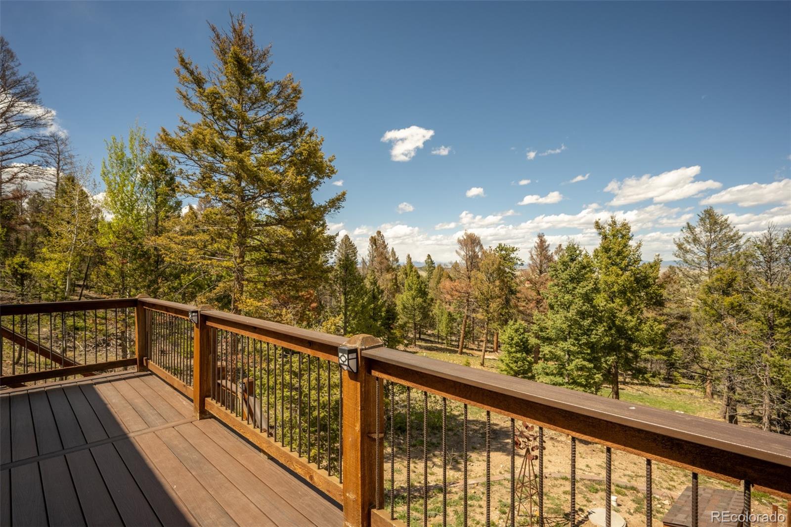 MLS Image #9 for 1540  bolster drive,hartsel, Colorado