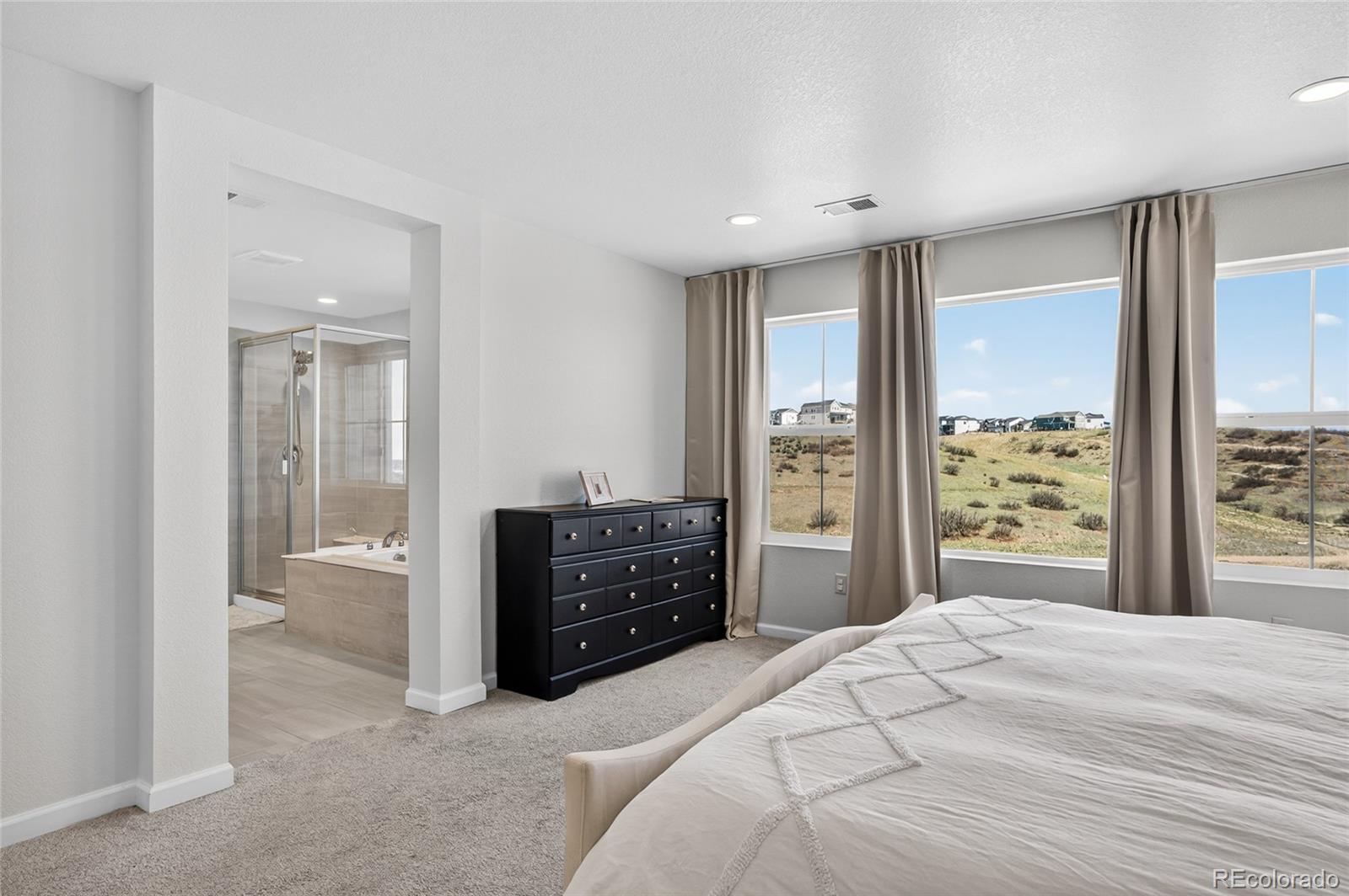 MLS Image #17 for 3721  rucksack court,castle rock, Colorado