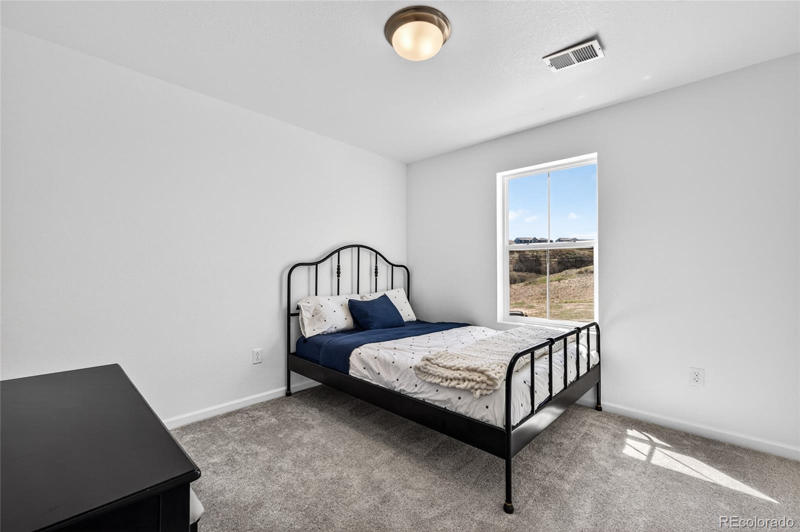MLS Image #21 for 3721  rucksack court,castle rock, Colorado