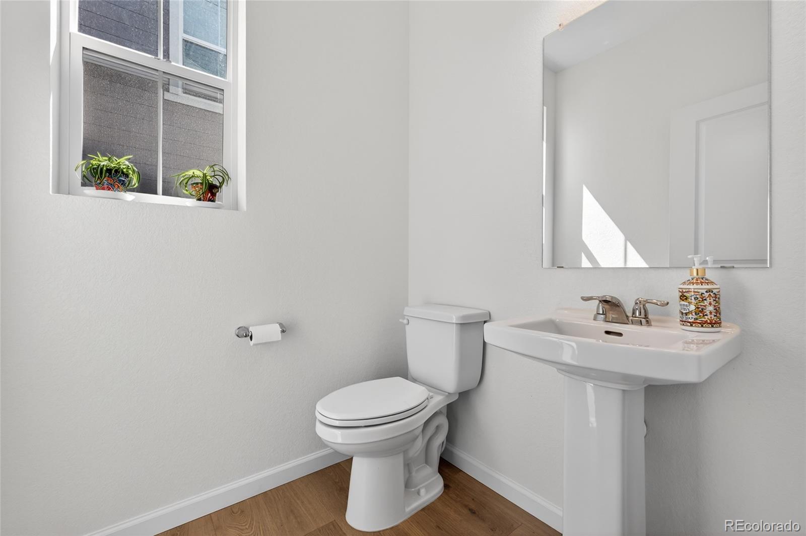 MLS Image #3 for 3721  rucksack court,castle rock, Colorado