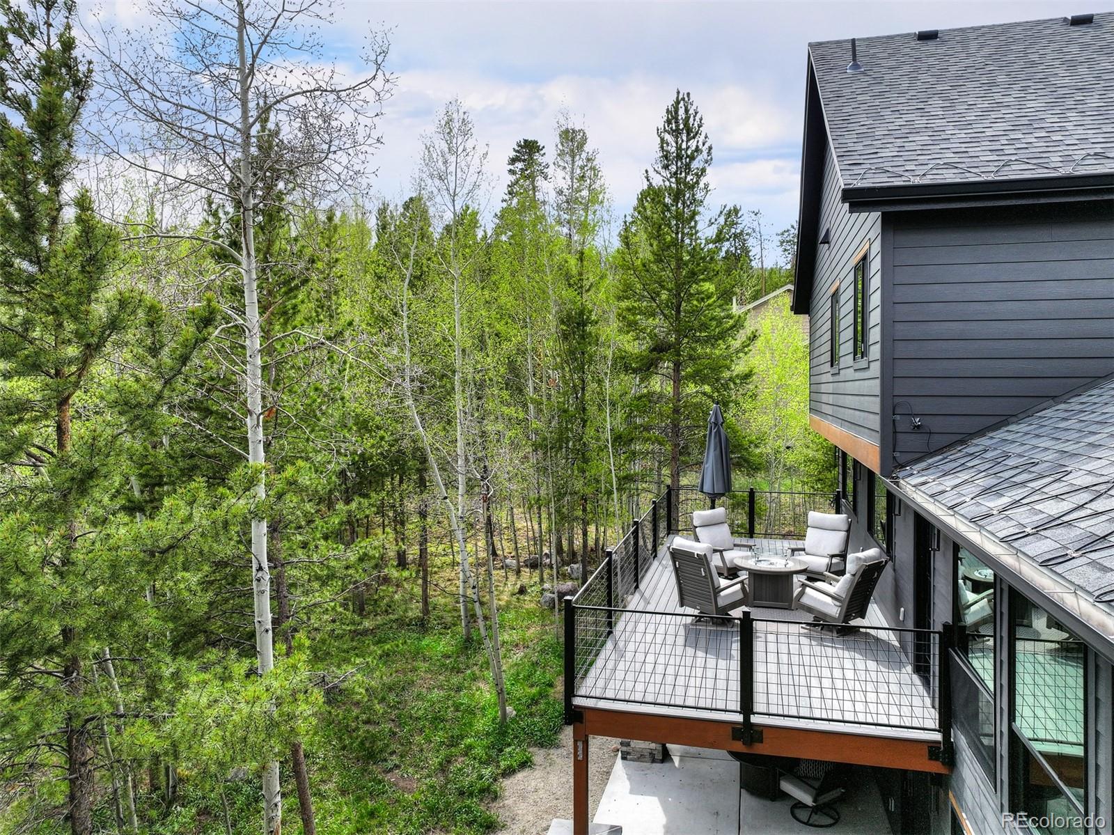 MLS Image #14 for 306 s golden eagle drive,silverthorne, Colorado