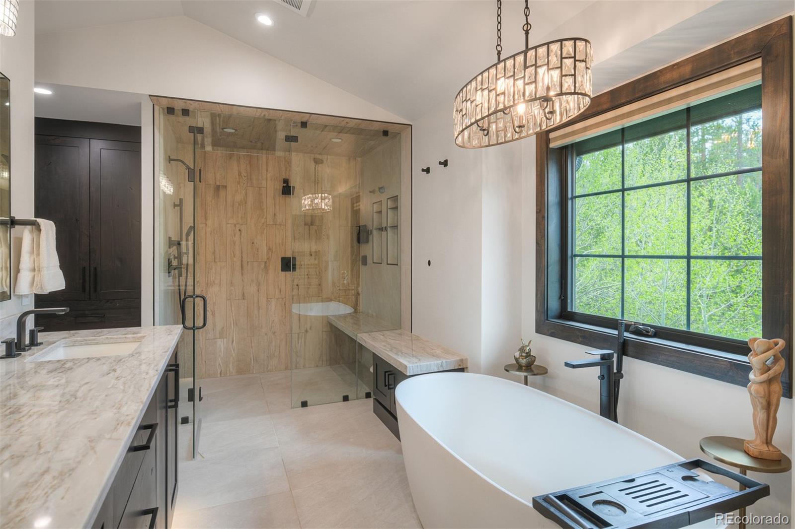 MLS Image #20 for 306 s golden eagle drive,silverthorne, Colorado