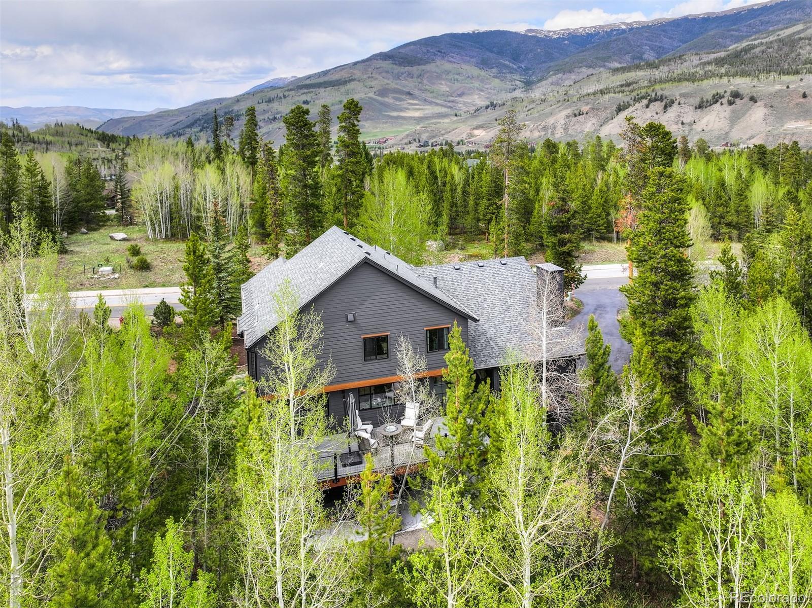 MLS Image #38 for 306 s golden eagle drive,silverthorne, Colorado