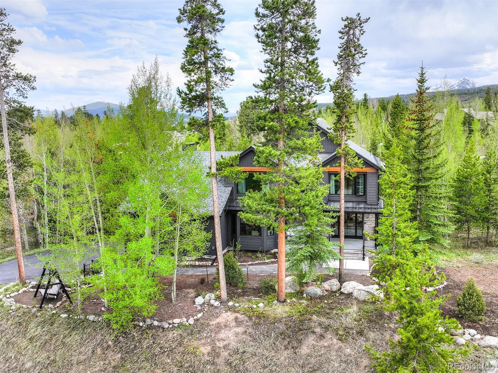 MLS Image #39 for 306 s golden eagle drive,silverthorne, Colorado