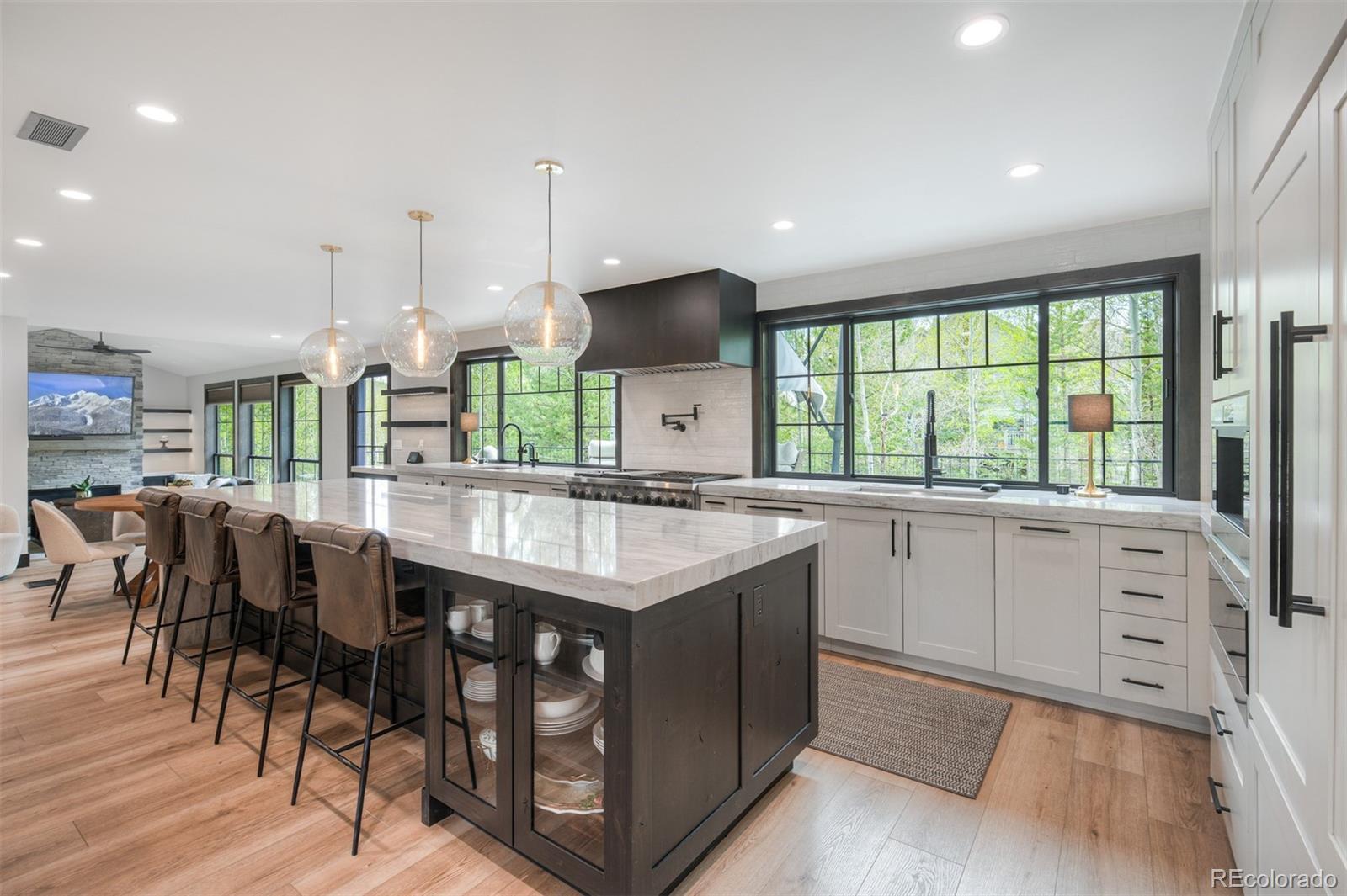 MLS Image #5 for 306 s golden eagle drive,silverthorne, Colorado