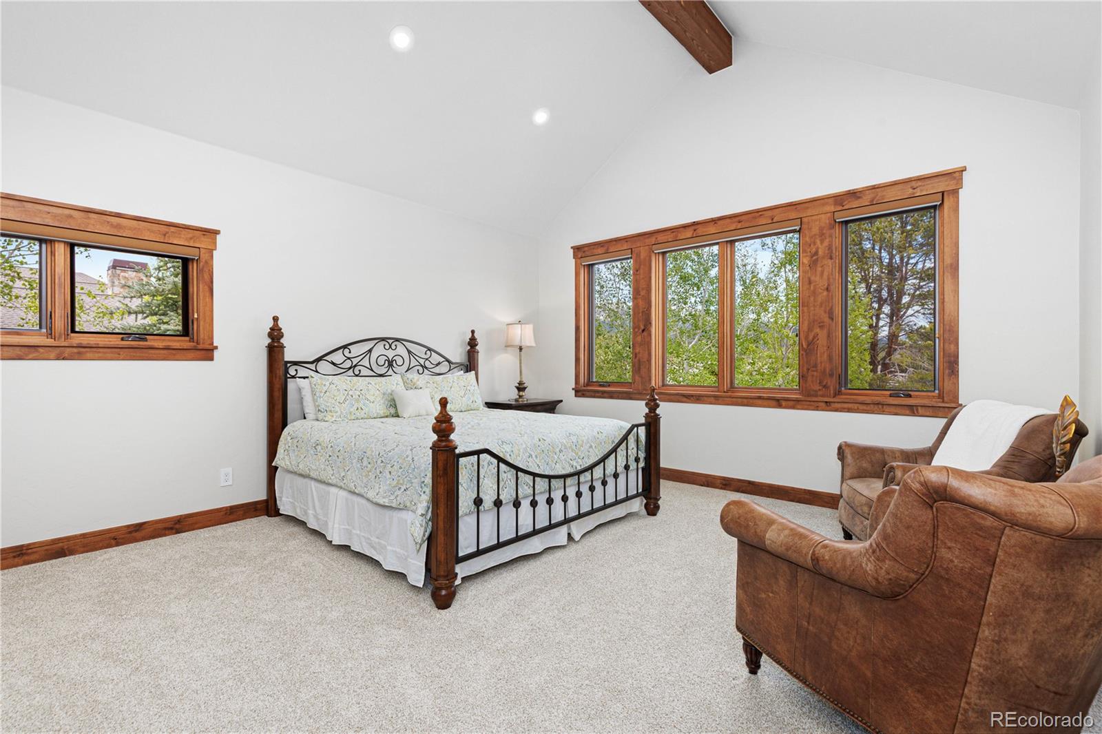MLS Image #30 for 315  lake edge drive,breckenridge, Colorado