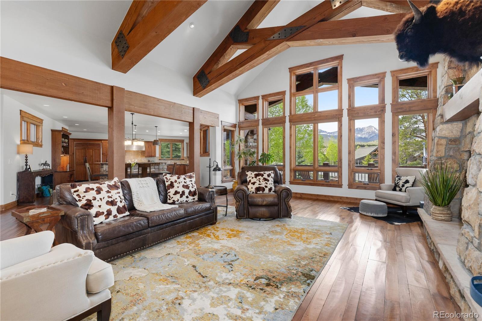 MLS Image #6 for 315  lake edge drive,breckenridge, Colorado