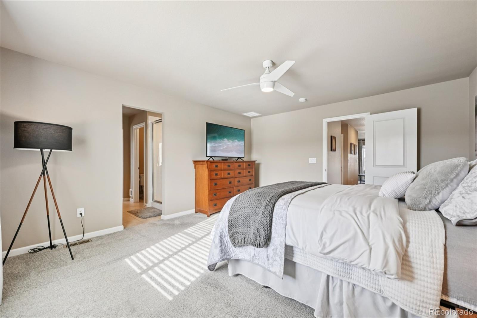 MLS Image #20 for 12851  billingsley trail,parker, Colorado