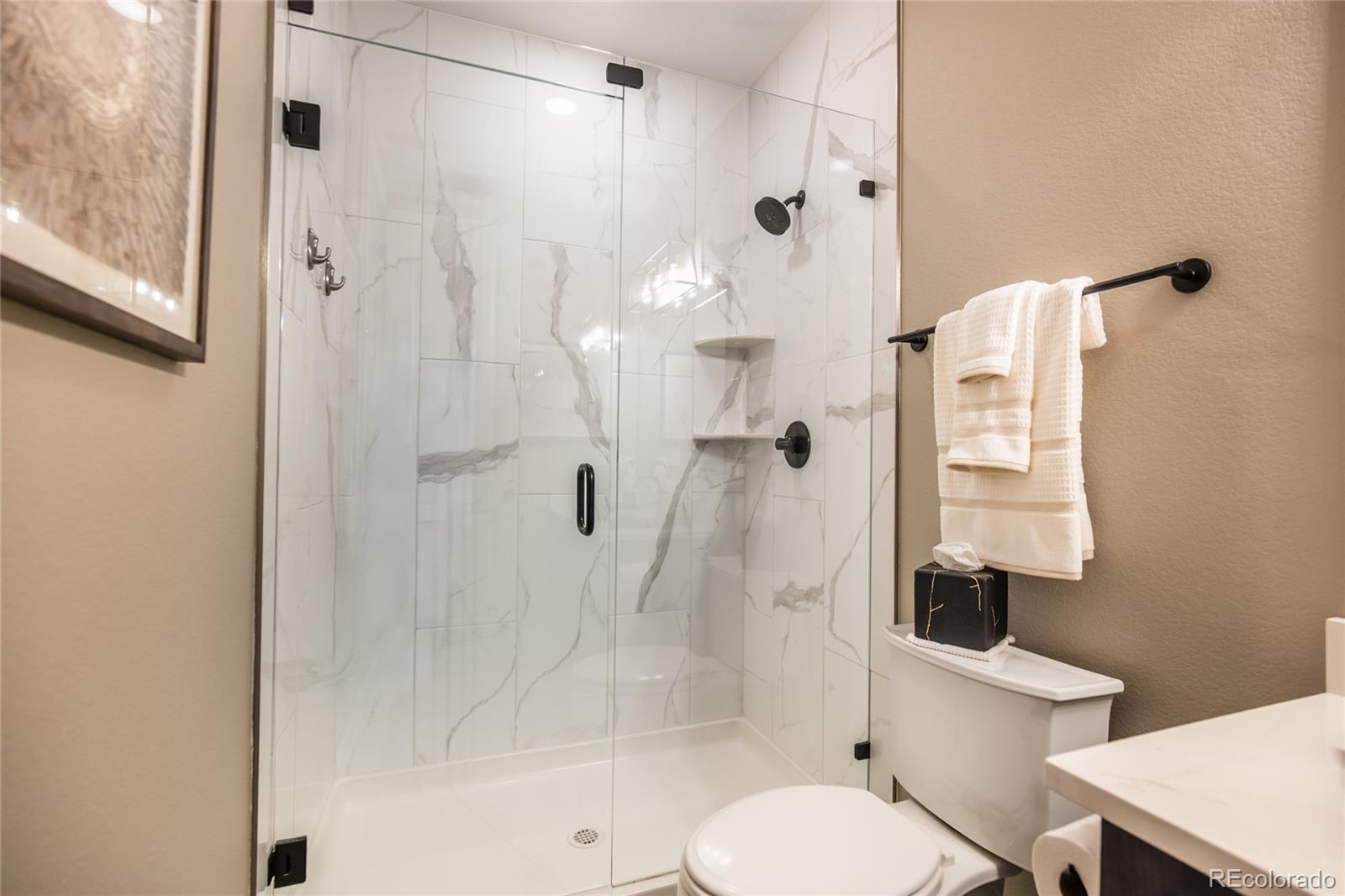 MLS Image #22 for 107  western sky circle,longmont, Colorado