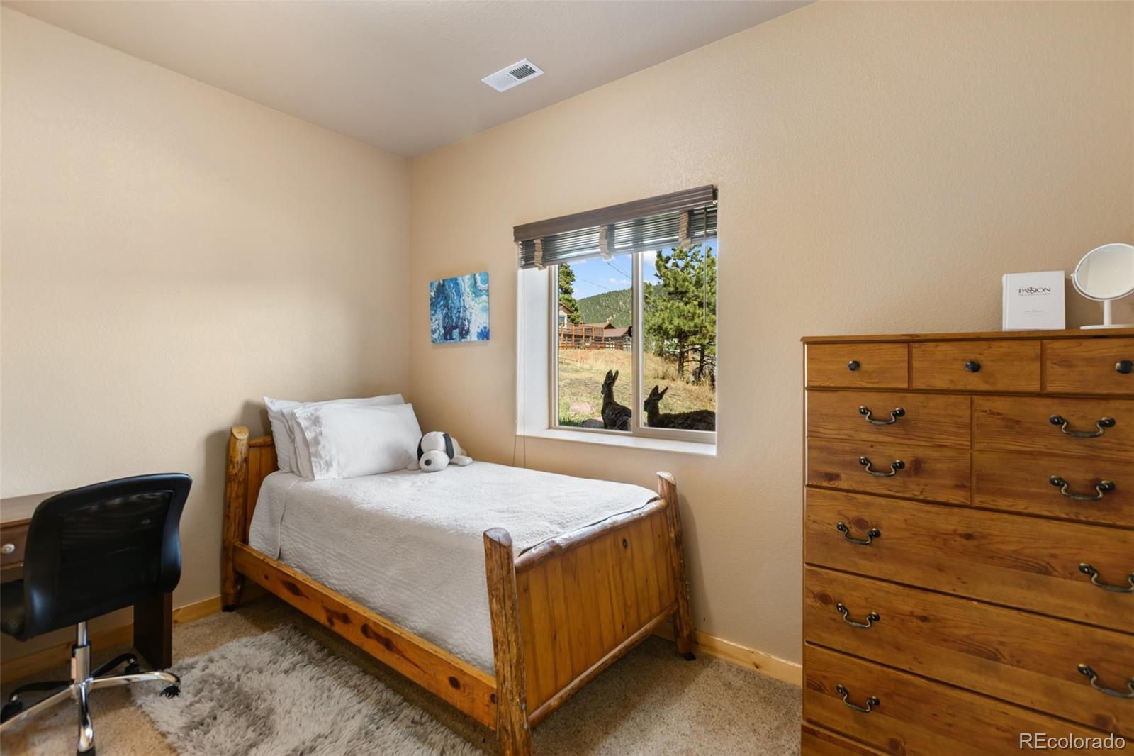MLS Image #15 for 225  highland street,woodland park, Colorado