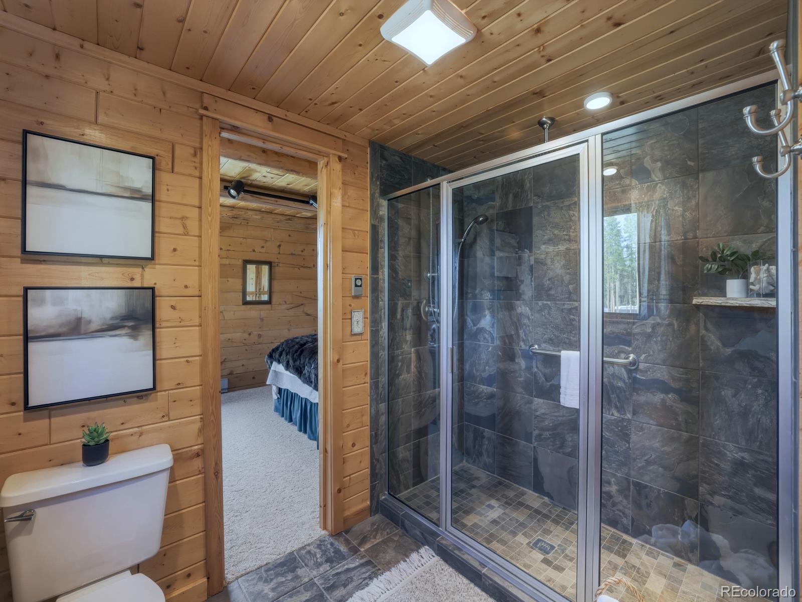 MLS Image #13 for 341  anderson road,walden, Colorado