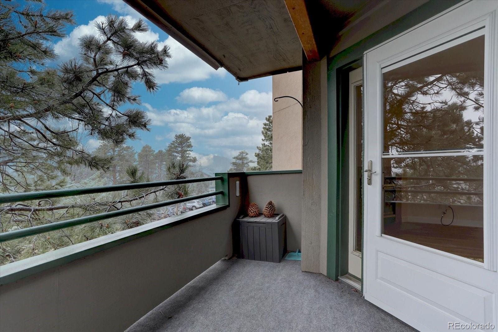 MLS Image #23 for 31819  rocky village drive,evergreen, Colorado