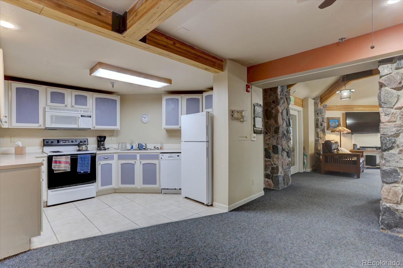 MLS Image #5 for 31819  rocky village drive,evergreen, Colorado