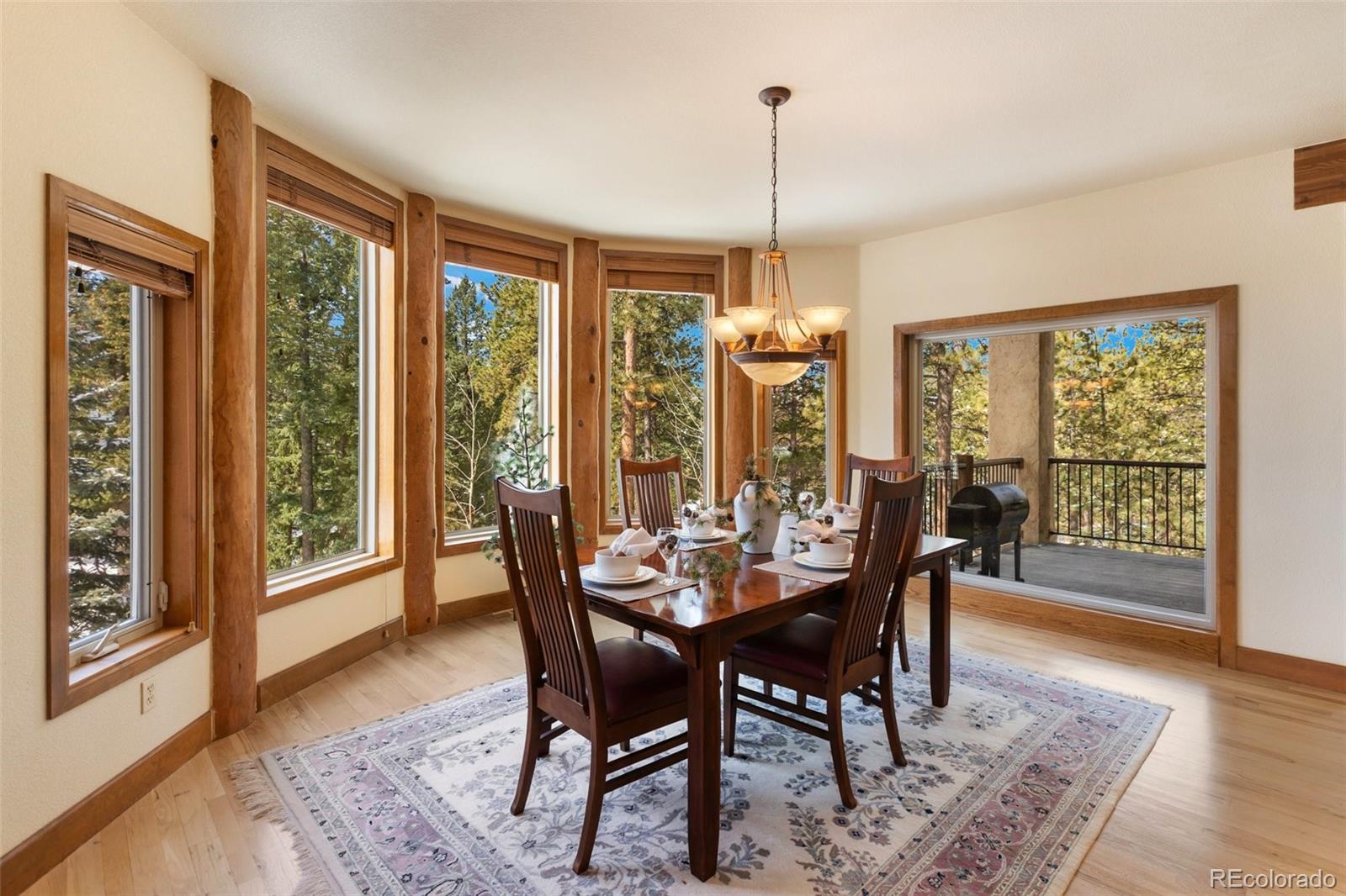 MLS Image #18 for 775  skyline drive,woodland park, Colorado