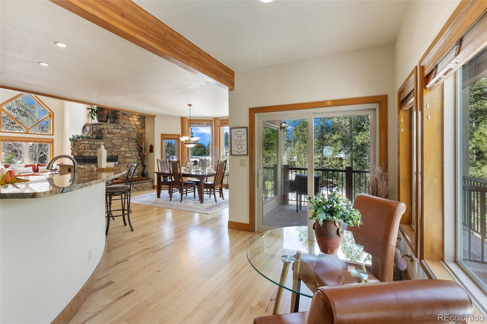 MLS Image #23 for 775  skyline drive,woodland park, Colorado