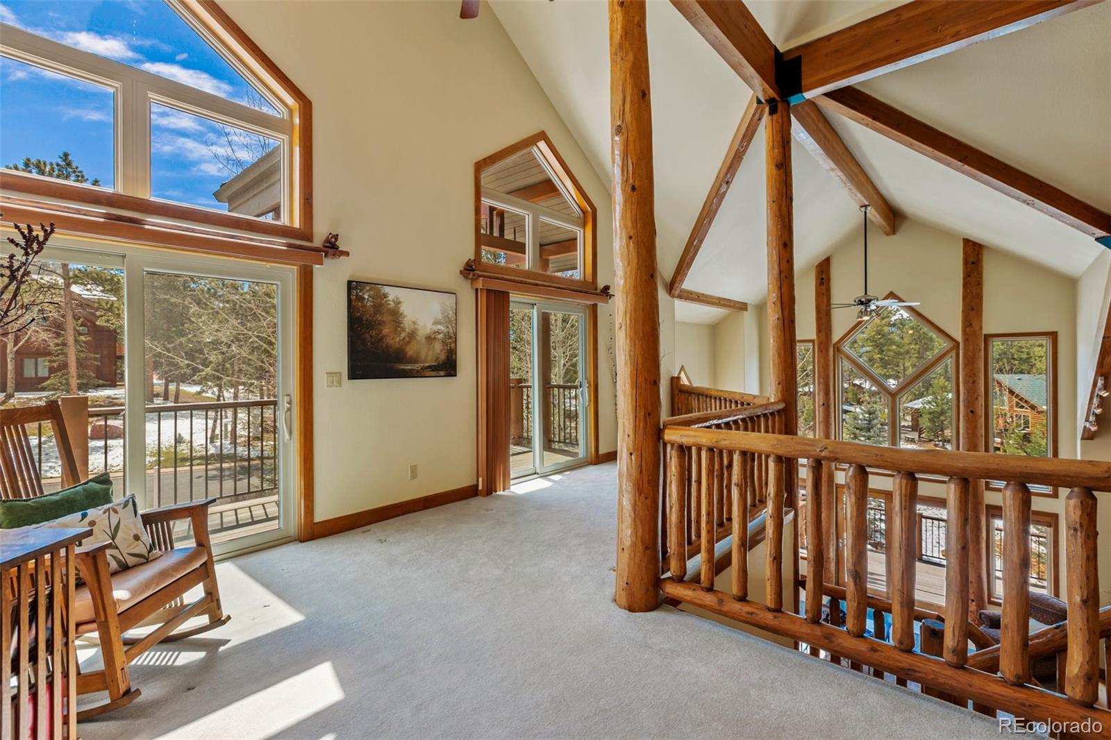 MLS Image #24 for 775  skyline drive,woodland park, Colorado