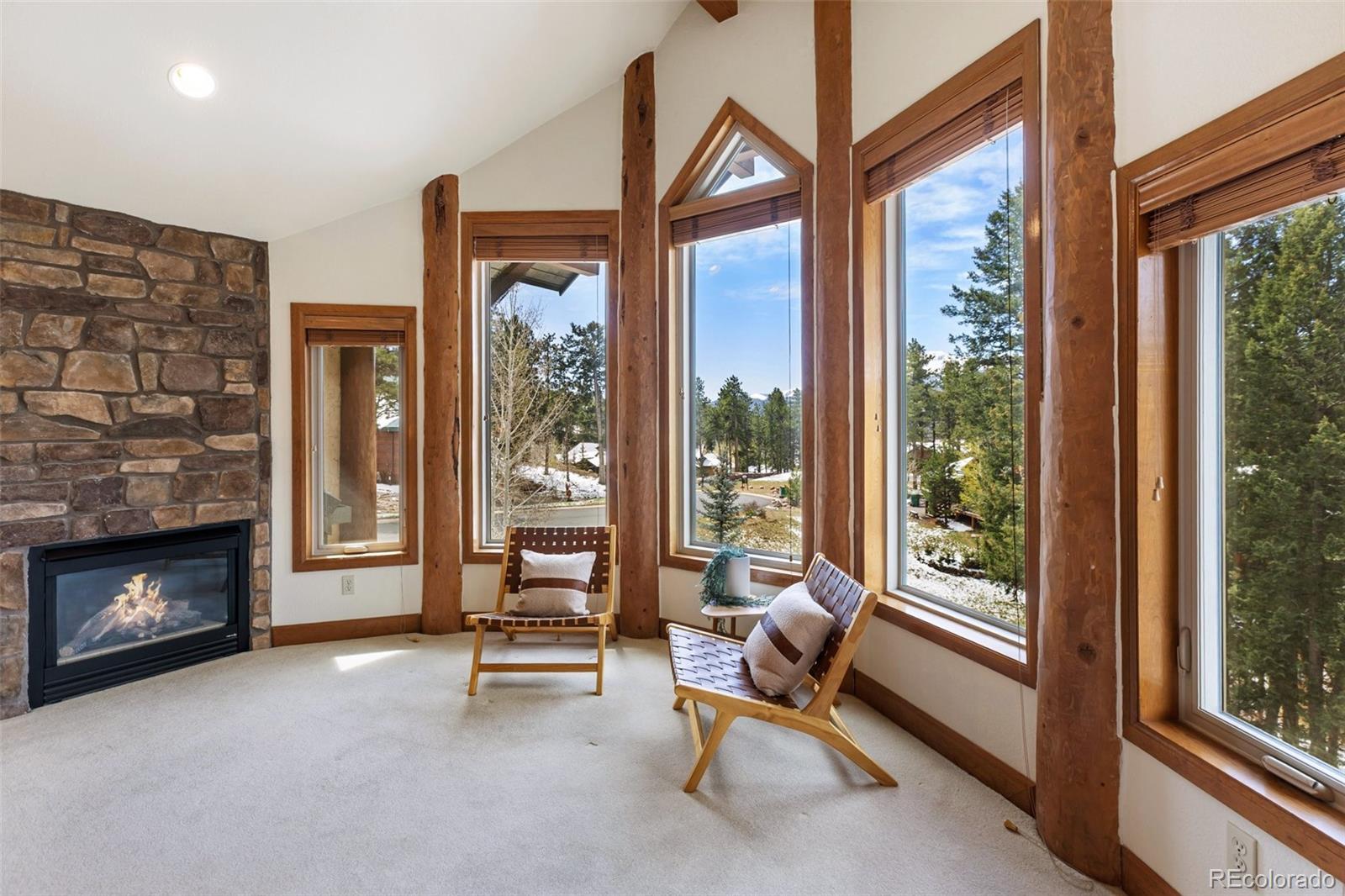 MLS Image #29 for 775  skyline drive,woodland park, Colorado