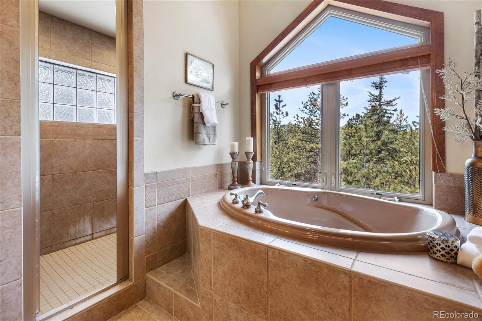 MLS Image #30 for 775  skyline drive,woodland park, Colorado