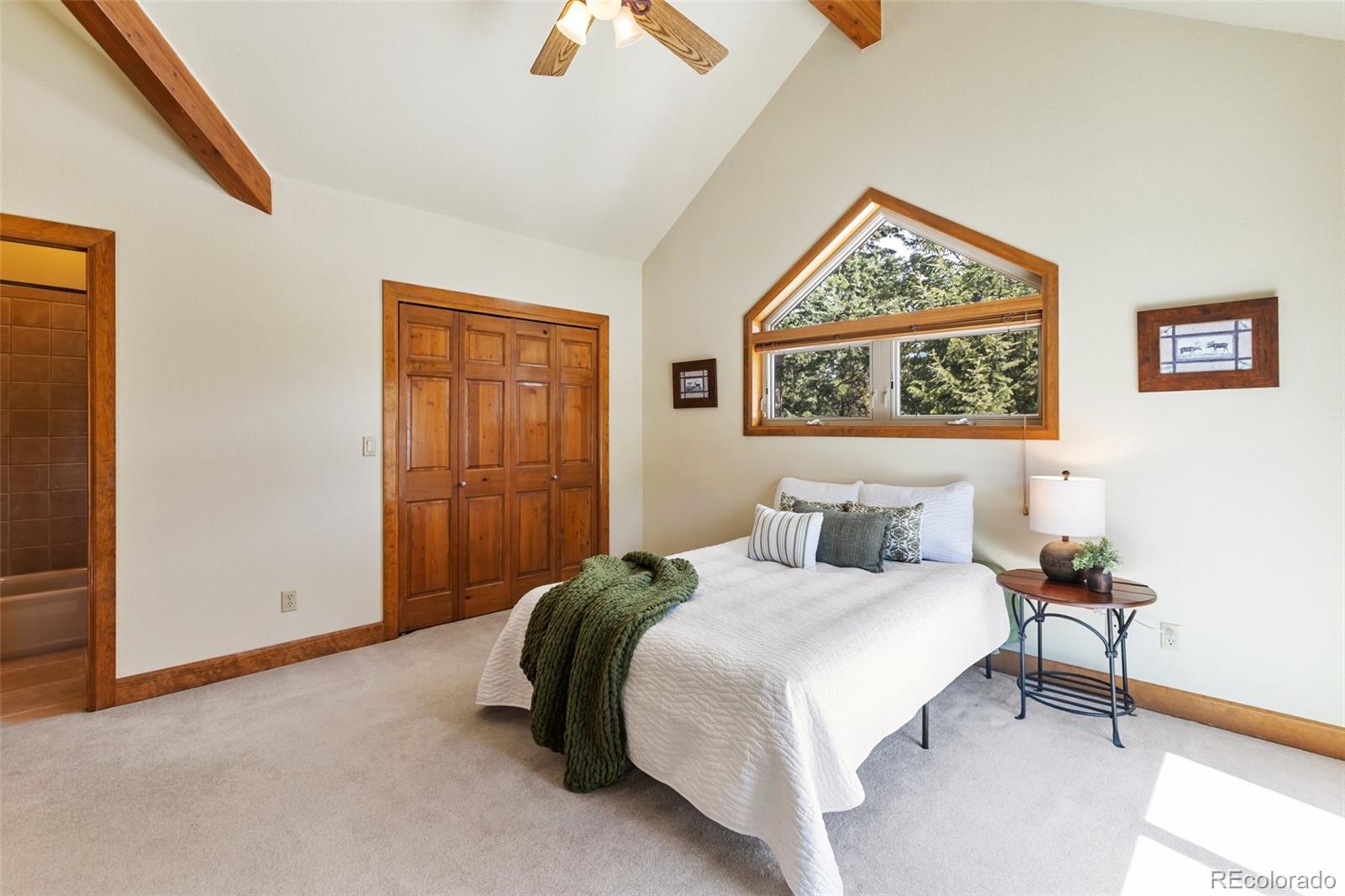 MLS Image #38 for 775  skyline drive,woodland park, Colorado
