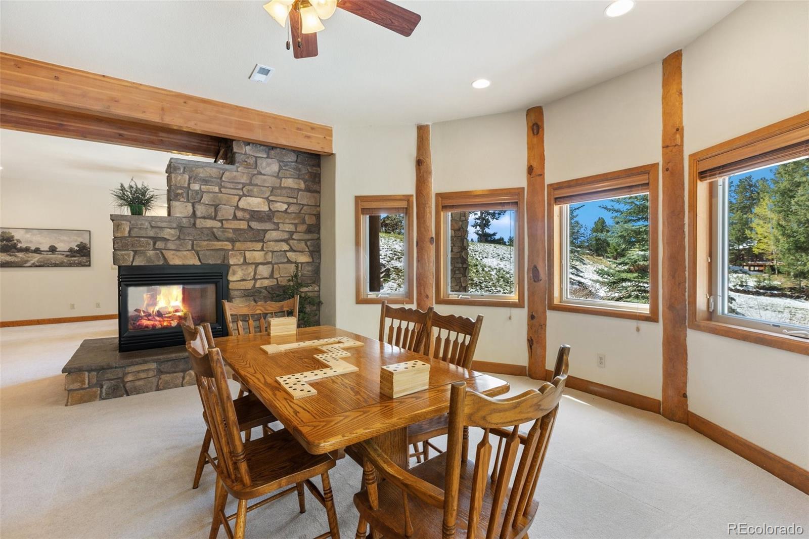 MLS Image #41 for 775  skyline drive,woodland park, Colorado