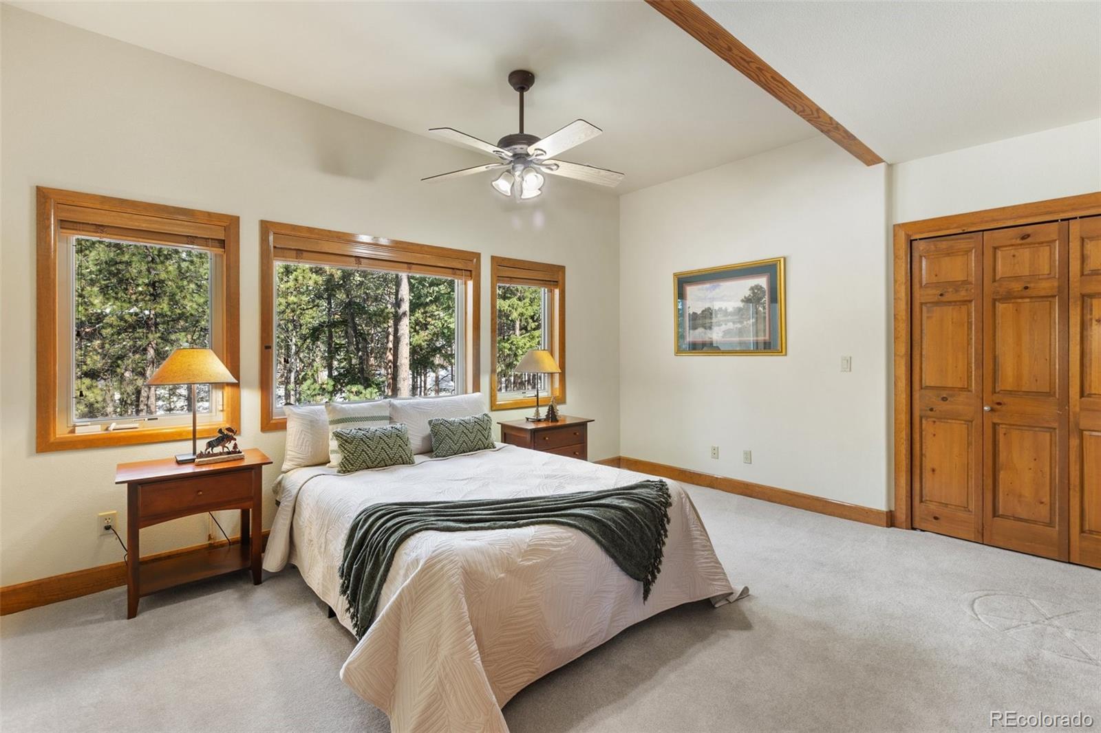 MLS Image #43 for 775  skyline drive,woodland park, Colorado
