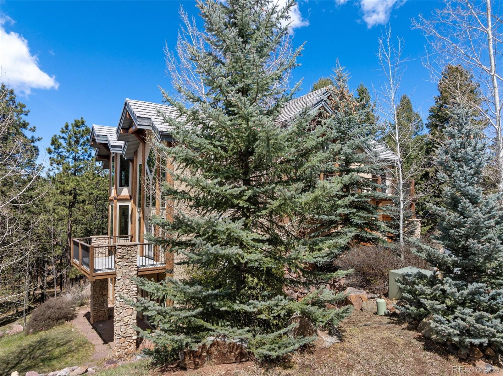 MLS Image #5 for 775  skyline drive,woodland park, Colorado