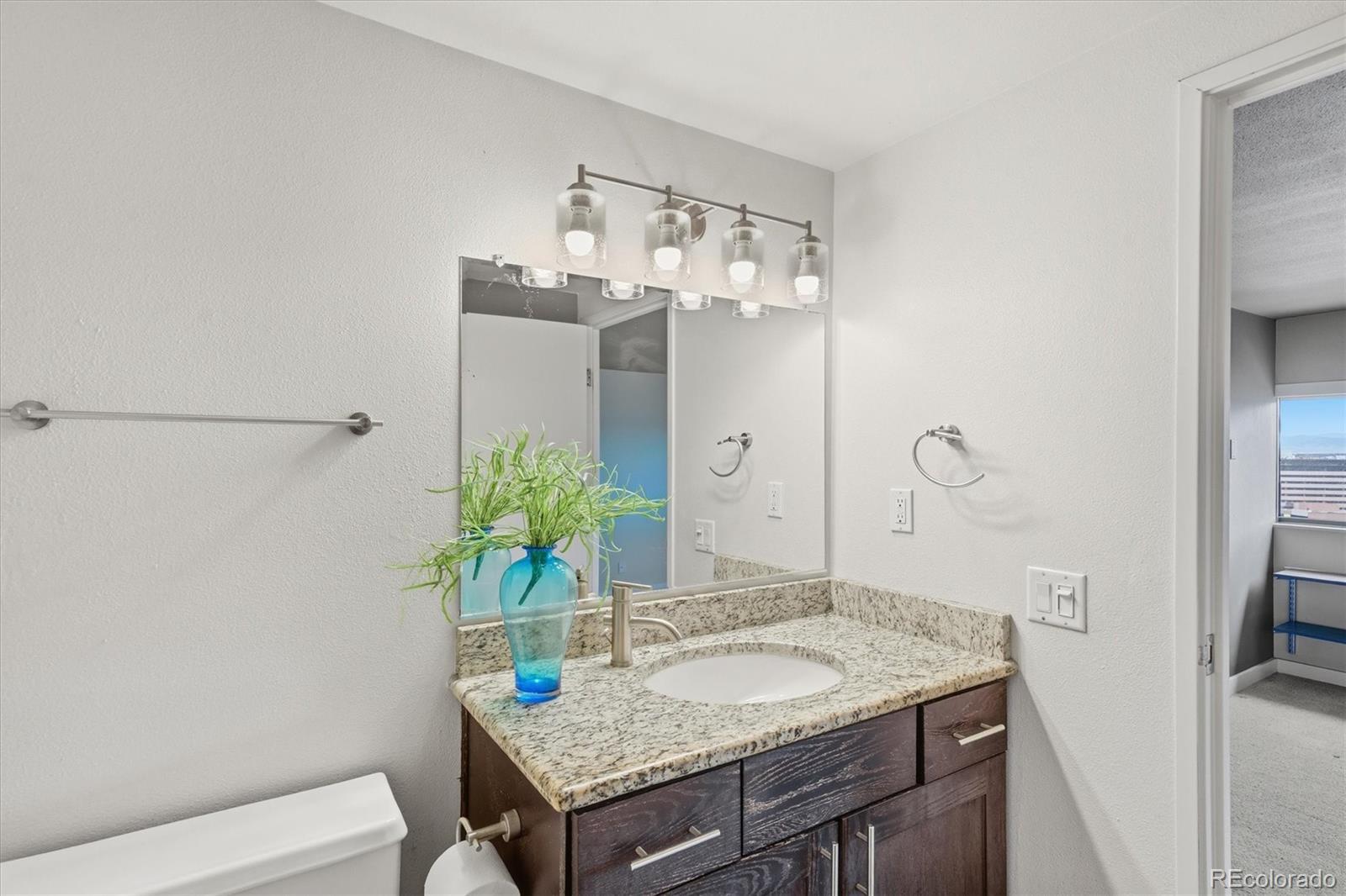 MLS Image #19 for 100  park avenue,denver, Colorado