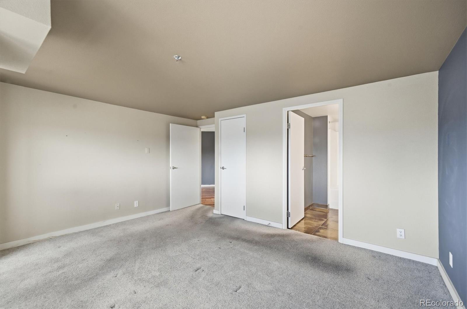 MLS Image #21 for 100  park avenue,denver, Colorado