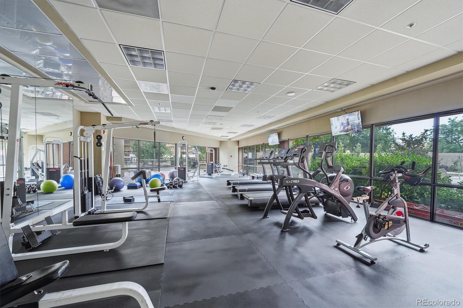 MLS Image #39 for 100  park avenue,denver, Colorado
