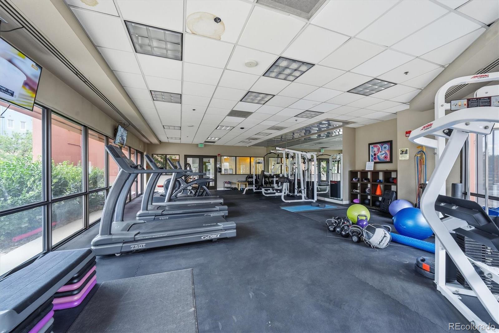 MLS Image #42 for 100  park avenue,denver, Colorado