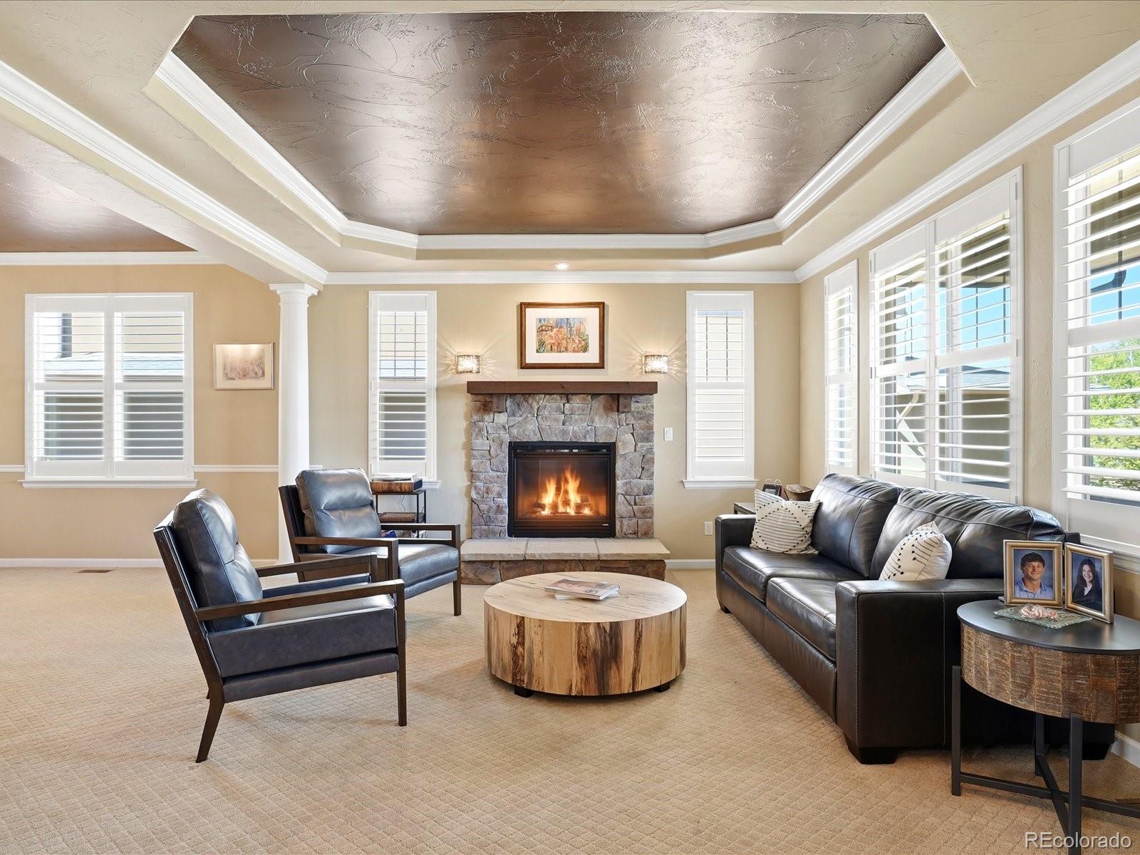 MLS Image #8 for 7465 s jackson gap way,aurora, Colorado