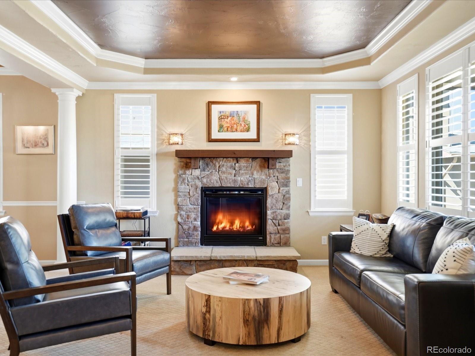 MLS Image #9 for 7465 s jackson gap way,aurora, Colorado