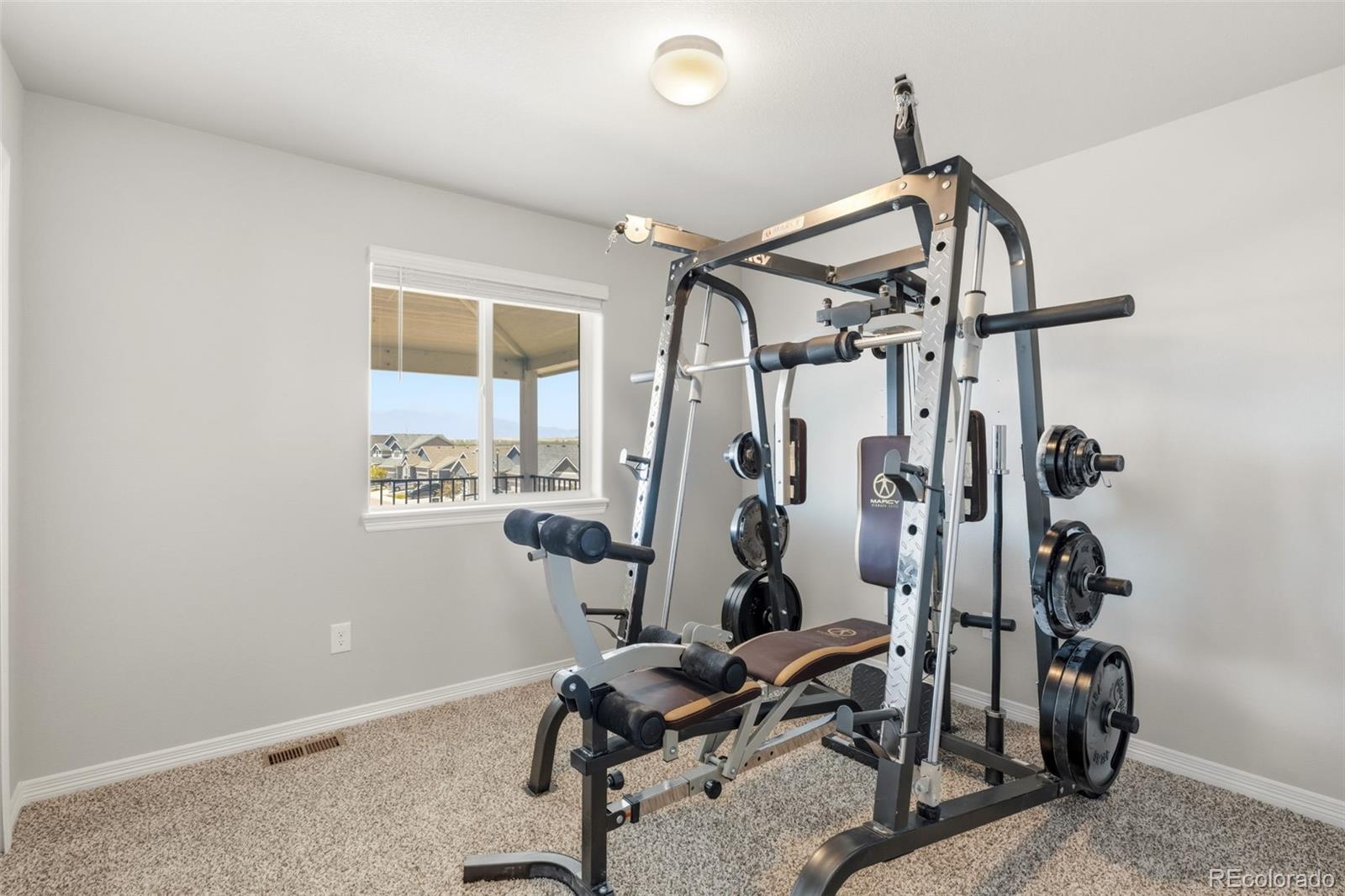 MLS Image #20 for 6116  shavers drive,colorado springs, Colorado