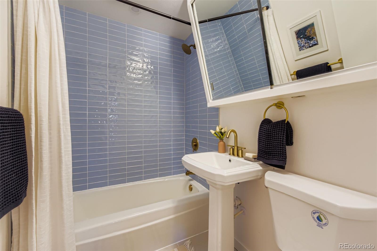 MLS Image #25 for 4264 w radcliff avenue,denver, Colorado