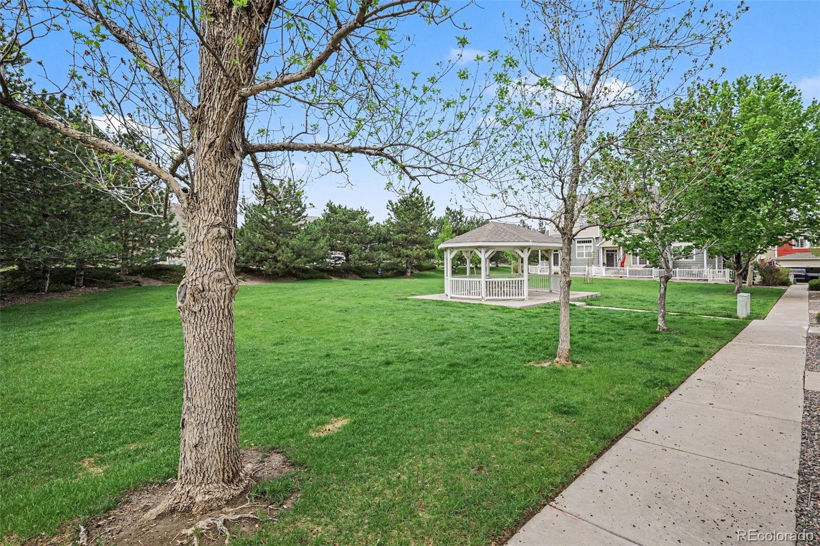 MLS Image #27 for 1459  thunder butte road,castle rock, Colorado